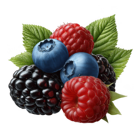 Fresh mixed berries cluster isolated on transparent background png