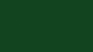 Snowfall Light Rays on Green Screen Background video