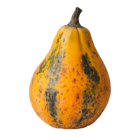 a single papaya squash on a transparent background png