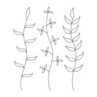 set of stylized plants, branches on a white background in black and white contour style. vector