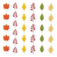 A set of stylized autumn leaves and berries, maple leaf, rowan branch, oak leaf. vector