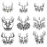 Deer skulls and roses set of illustration vector