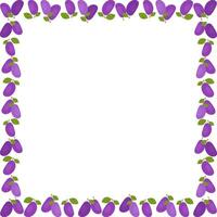 Juicy fresh violet plums frame. Aesthetic groovy berries design template. Empty space for your text vector