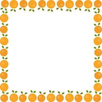 Tangerine fruit frame. Oranges simple sweet fruits border. illustration vector