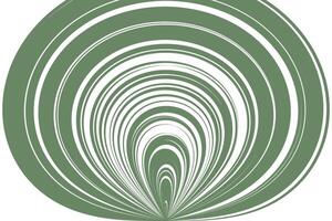 simple abstract dark olive color geometric thin to thick line pattern concentric olive green rings an abstract optical illusion vector