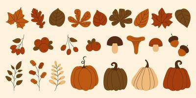 Collection of autumn elements pumpkins, mushrooms, leaves, berries and acorns. Set of fall season web graphics and cozy design themes. illustration vector