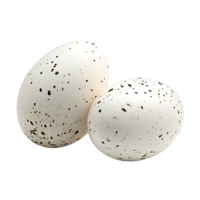 Two speckled white eggs rest closely together, showcasing their unique pattern on transparent background png
