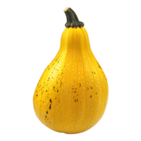 A yellow crookneck squash displays speckled markings and ribbed texture on transparent background png