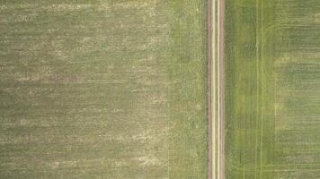 A top-down aerial view of a dirt road passing between spring green fields in the middle of the day video