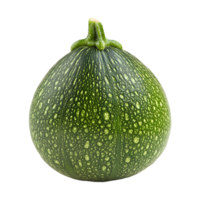 A speckled dark green calabash vegetable stands upright with its stem on transparent background png