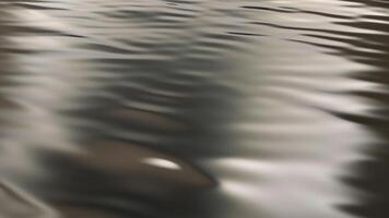 Silver Liquid Texture, Floating Background, Elegant Template, Exclusive, Colors, Reflection video