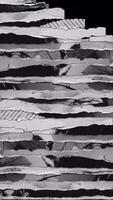 Black and White Vertical Top to Bottom Transition video