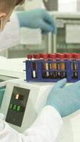 Meticulous lab technician inspects colorful test tubes before centrifuge loading video