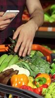 Cheerful man checks shopping list on smartphone beside vibrant grocery cart video