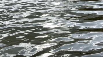 Scenery surface of pond illuminated by sun at summertime.Calm view on sea with small waves at sunny day. Beautiful summer nature landscape. Concept of tranquility scene. Slow motion video