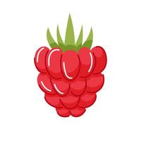 Raspberry fruit with leaf in flat style isolated on a white background. vector