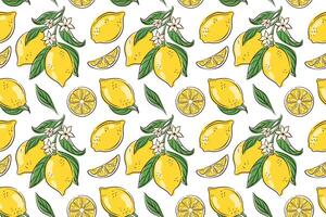 Seamless pattern with whole lemon and slice, flowers with green leaves on white background. Bright citrus fruit design for summer kitchen fabric, packaging and organic theme. vector
