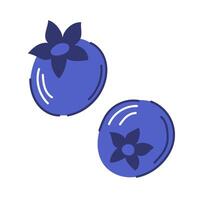 Fruit blueberry in flat style isolated on a white background. vector