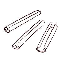 Cinnamon sticks set in line art style isolated on a white background. vector