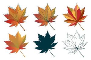 Set of hand-drawn fall colored autumn maple leaves isolated on white background. Flat and line styles illustration. vector
