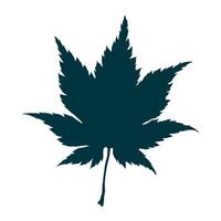 Hand-drawn maple leaf silhouette isolated on white background. Flat line style illustration. vector