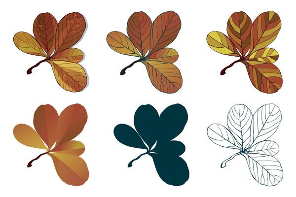 Hand-drawn autumn colored leaves isolated on white background. Flat line style illustration.