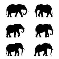 Elephant silhouette set collection design vector
