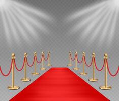 red carpet event entrance vector