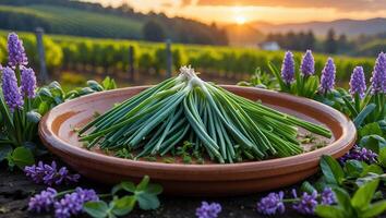 Green Onions Displayed on Plate with Vineyard Sunset Background photo