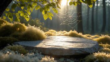 Stone Platform in Forest with Sunlight Shining Through Cobweb and Leaves photo