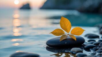 Leaf on River Stone at Sunset Coastal Scene Calm Meditation photo