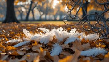 White Feathers Scattered on Golden Autumn Leaves in a Peaceful Park photo
