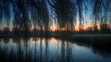 Willow Tree Reflections at Twilight on a Calm Lake Surface photo