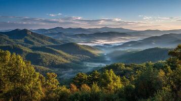 Realistic nature texture captured in full-resolution photography photo