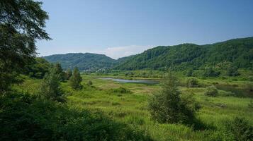 Clear blue sky over detailed summer nature photo