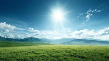 High resolution summer countryside with detailed textures photo