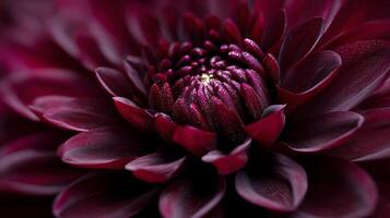 Textured bloom photo in natural setting