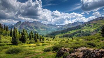 Photorealistic summer nature photography with sharp textures photo