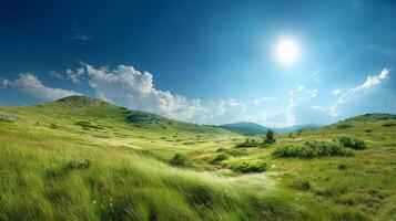 Detailed textures photography in photorealistic summer landscape photo