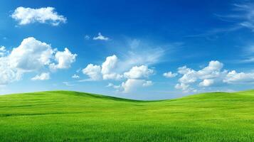 Summer nature scene photography illuminated by bright daylight photo