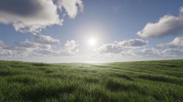 Summer meadow with sharp green textures in landscape scenery photo