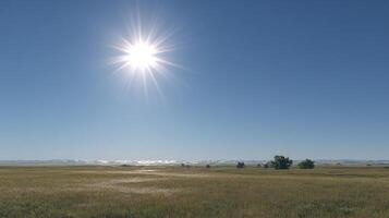 Bright open meadow on a sunny day in summer landscape scenery photo