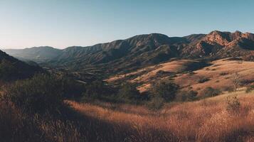 Photorealistic image of natural scenery textures and tones photo