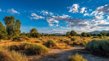 Clean and vivid natural scenery photo with depth
