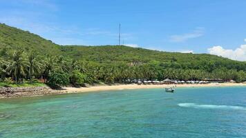 a beach with palm trees and a small island video