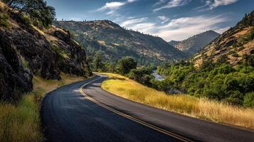 Serene-photo of rural road and trees photo