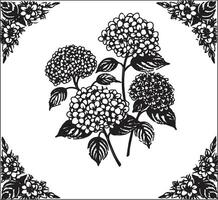Hydrangea flowers in a frame vector