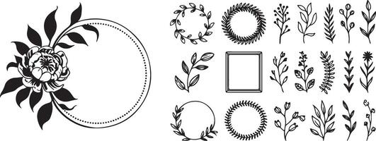 A set of black and white floral designs vector
