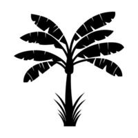 Silhouette of banana tree isolated on white background vector