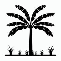 Silhouette of banana tree on white background vector